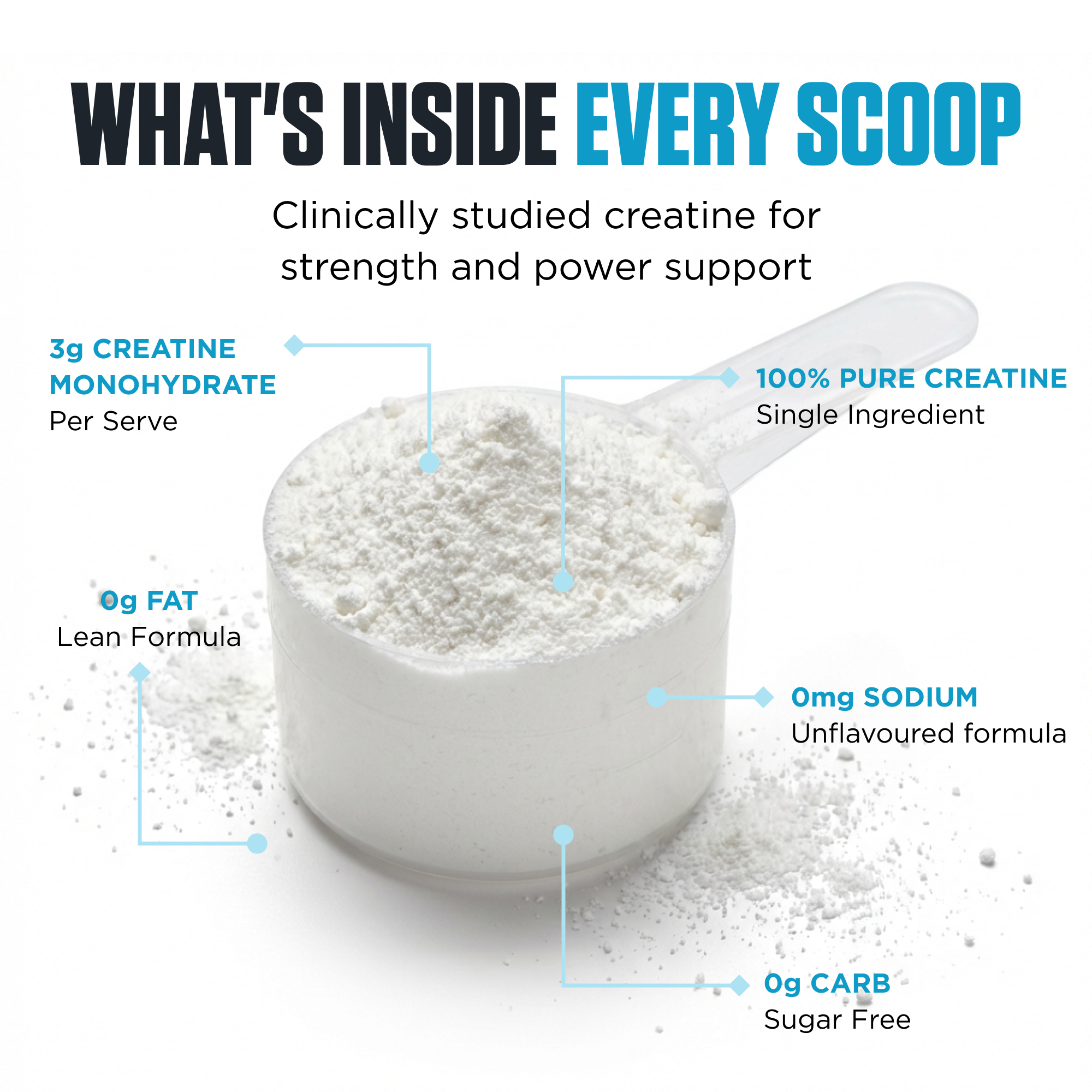 CREATINE - Genetix Nutrition